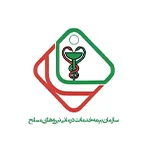 Niruhaye-Mosalah-Insurance